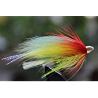 Tigofly 24 piezas-lote de señuelos de plumas amarillas y verdes con cabeza de cono de tubo para mosca de salmón- trucha…